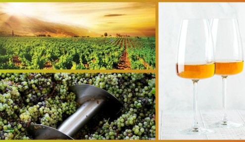 Blog: Orange Wines