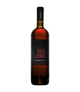 Afianes Icarus Red 2017