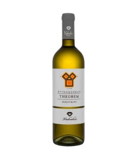 Vakakis Theorem White 2024